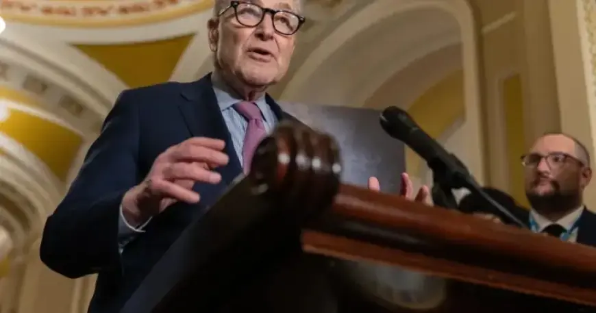 Senate Democrats Threaten Shutdown by Blocking Funding Post Minneapolis Shooting