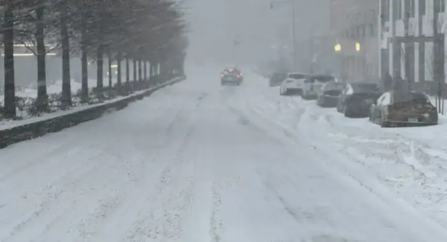 NYC Probes Six Deaths Potentially Tied to Extreme Cold Weather