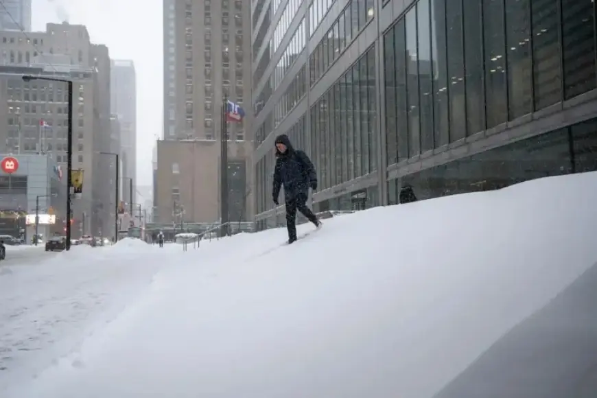 Toronto Battles Snow: School Closures and Travel Delays Hit Area