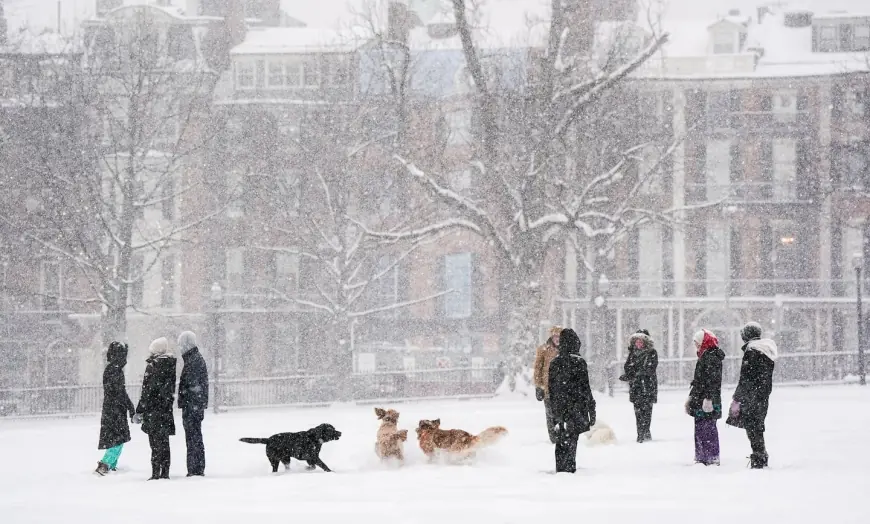 Boston snow totals today: Logan Airport at 18.6 inches as Massachusetts digs out from a major snowstorm
