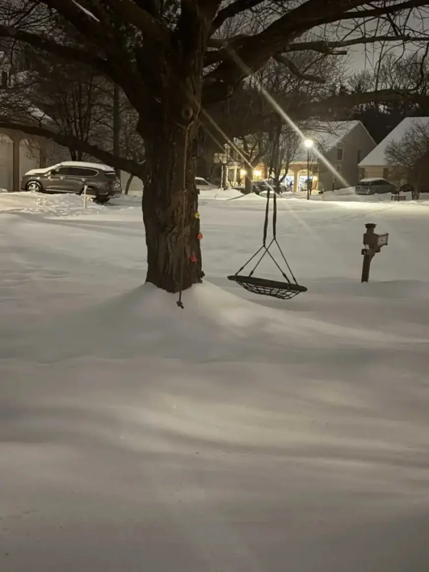 Maryland and Virginia’s Latest Snow and Sleet Totals Revealed