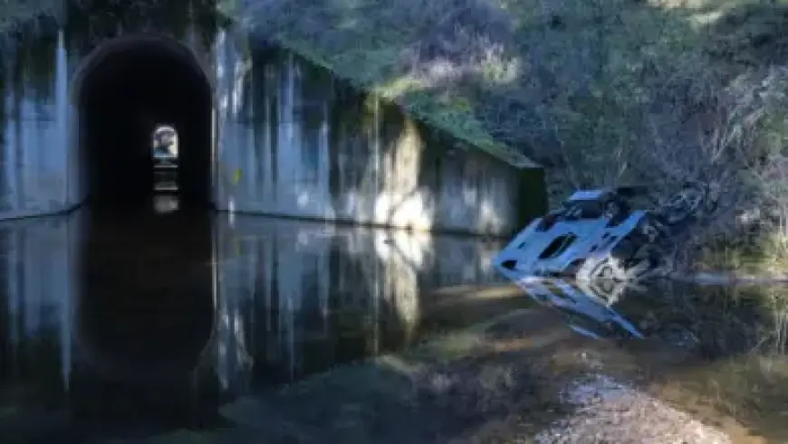 Identifying Dictatorial Traits in a President