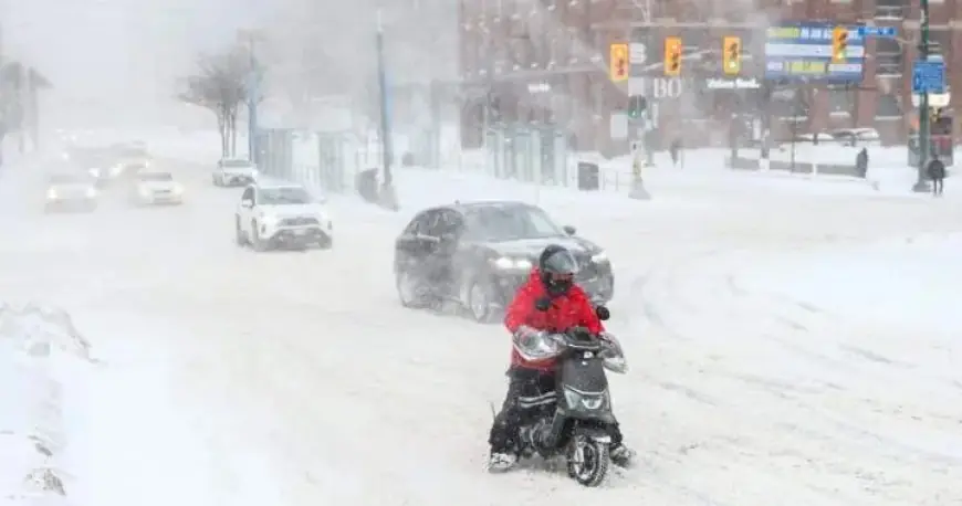 Toronto Overcomes Record Snowfall, Digs Out from Massive Snowdrifts