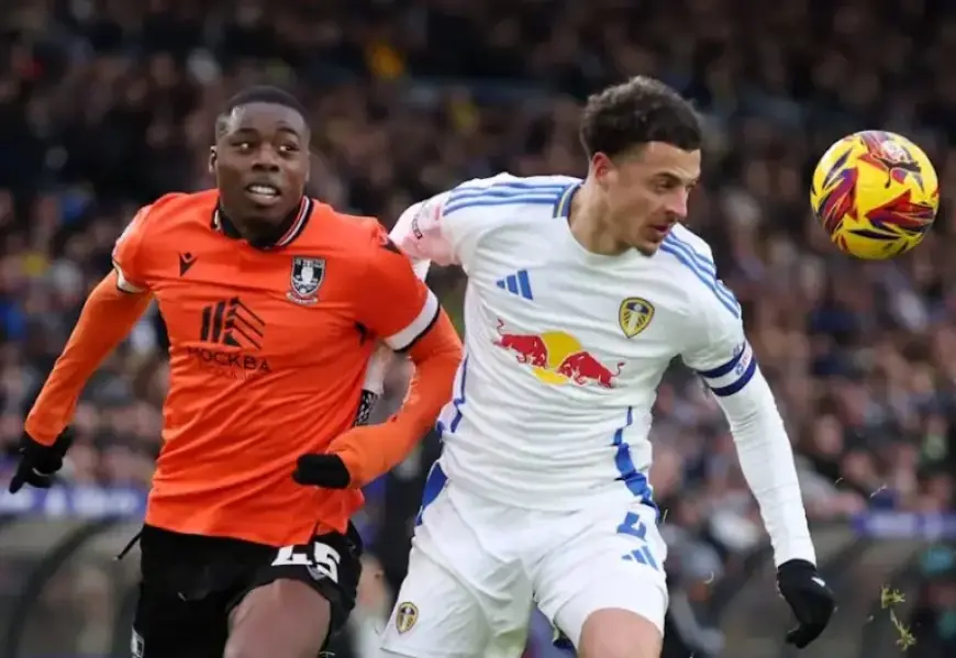 Leeds United Star Earns High Praise from Daniel Farke for Rolls Royce Performances