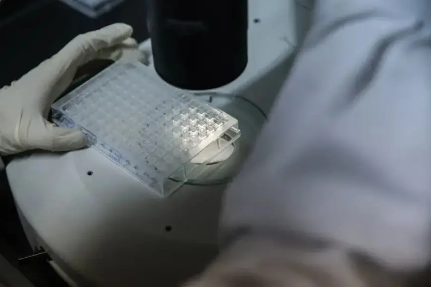 AI Threatens Science Publishing’s Reliability, Reveals Impactful Analysis