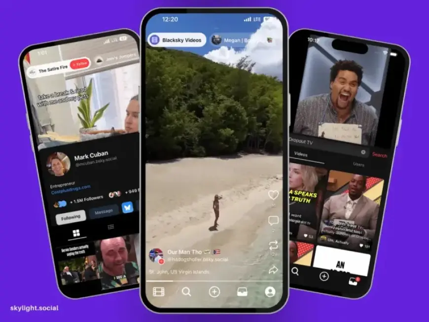 Skylight Surges to 380K Users Following TikTok U.S. Deal Completion