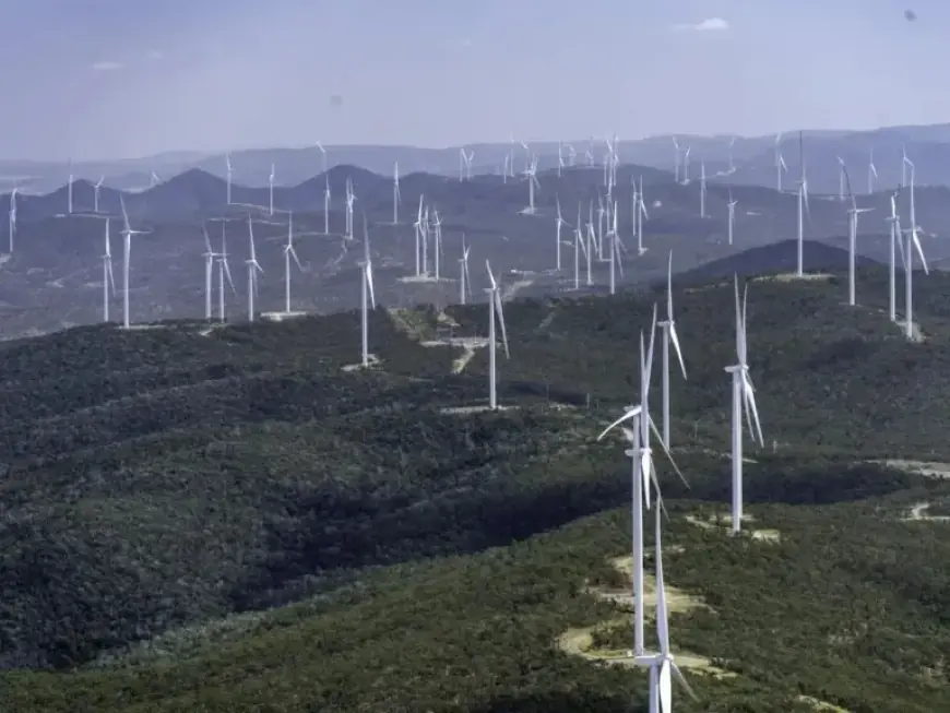 Investment Slump Challenges Green Energy Goals