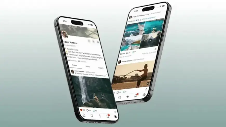 TikTok Users Switch to Indie Competitor: Downloads Surge