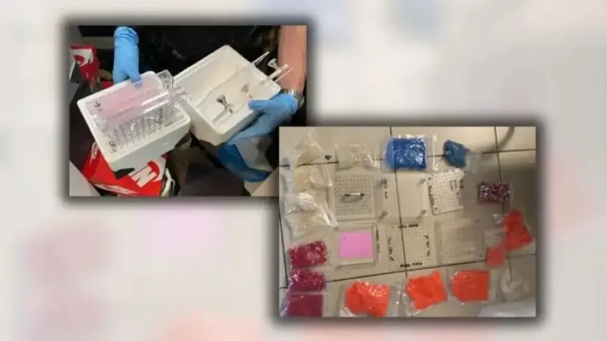 DEA Bust Disrupts Lethal LA to South Florida Fentanyl Trafficking Route