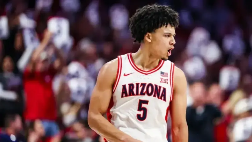 Arizona vs. BYU: Odds, Expert Picks, and Predictions