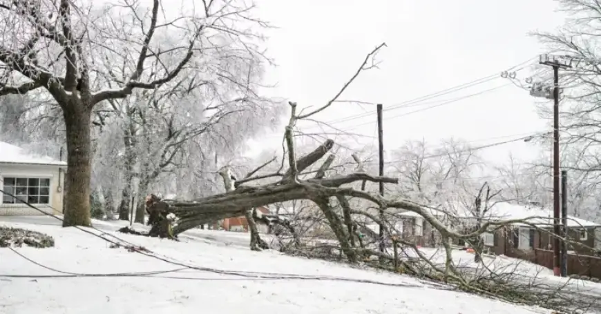 Winter Storm Paralyzes South, Envelops Cities in Ice and Snow