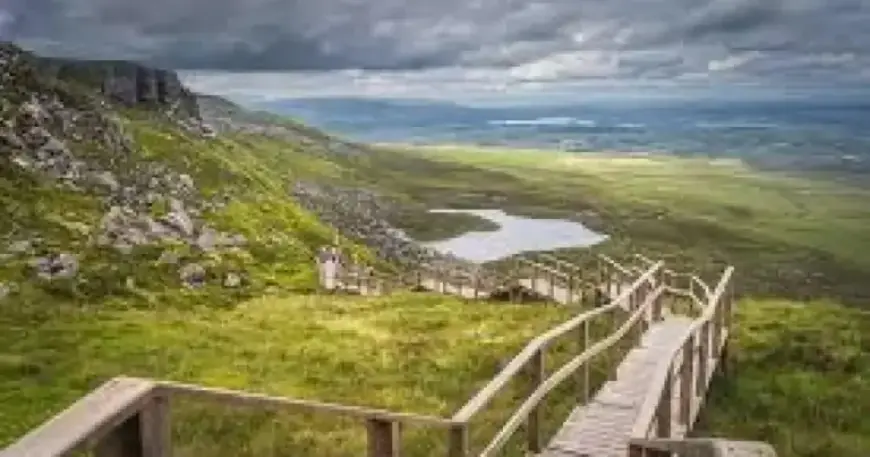 Council Shuts Outdoor Facilities Following Met Office Wind Alert