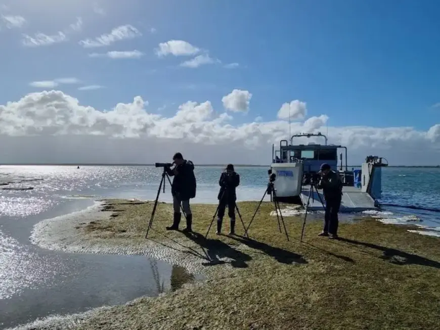 Australia to Launch First Offshore Wind Auction in August After Year-Long Delay