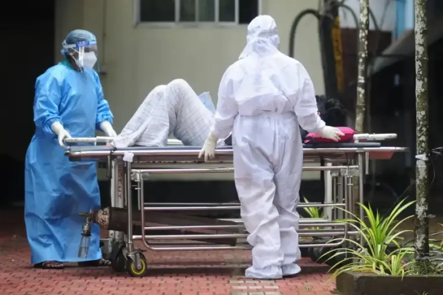 Asian Airports Reinstate Health Checks Amid Deadly Nipah Virus Outbreak in India