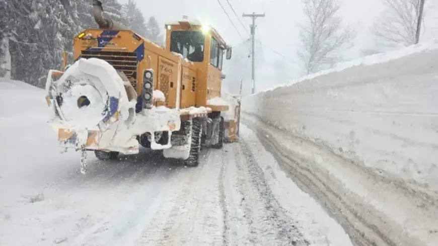 Winter Storm Shuts Schools, Malls in Rochester: Latest Closures Update