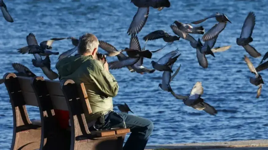 Cold Front Approaches: Treasure Coast Braces for Chilling Temperatures