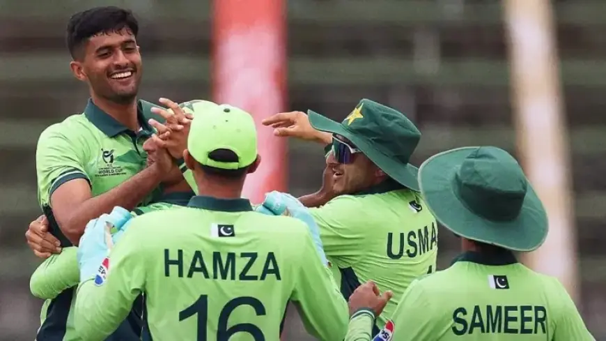 Pakistan Dominates New Zealand by 8 Wickets in U-19 World Cup Super Six
