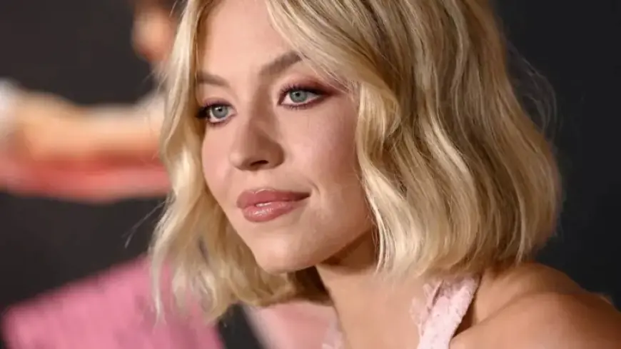 Sydney Sweeney Lacked Approval to Display Bras on Hollywood Sign