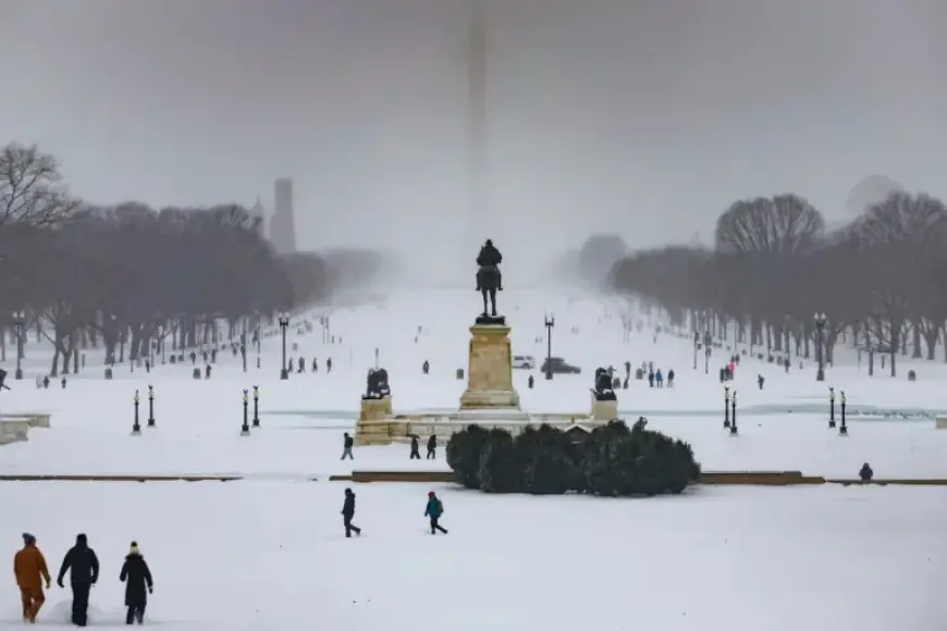Analysis: Uncovering the Uniqueness of Sunday’s Winter Storm in D.C.