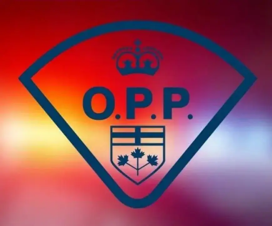 Westbound 401 Closure Disrupts Traffic Between Belleville and Quinte West