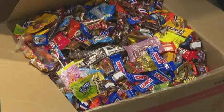 Arsenic Discovered in 28 of 46 Candy Products, Florida Reports