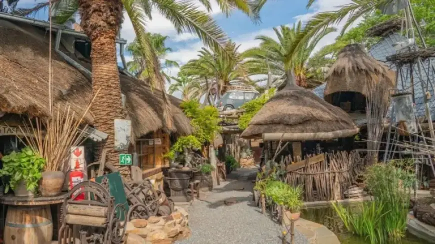 German Pop Star Escapes Cold, Discovers Unexpected Beer Garden