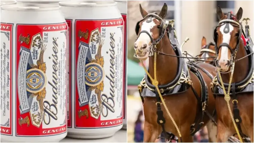 Budweiser Unveils Incredible Super Bowl Ad: Watch Now