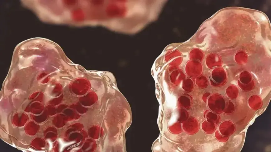 Urgent Alert: Sydney Residents Advised to Monitor Closely