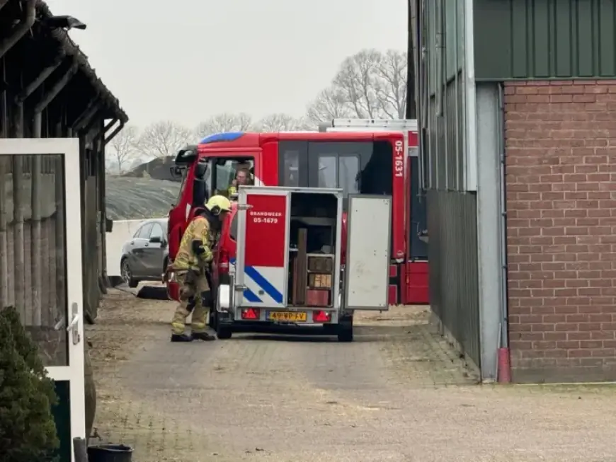 Firefighters Rescue Cow from Well on Visschersdijk in Markelo