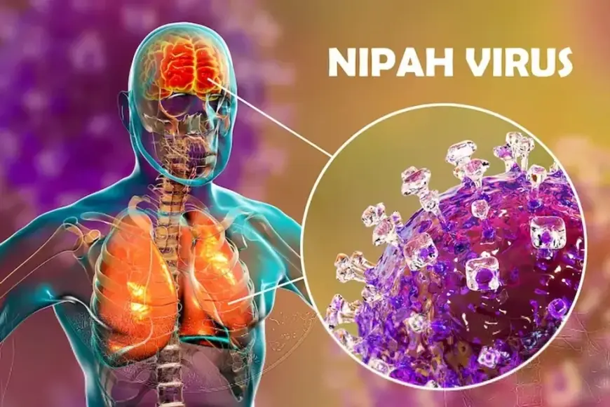 Nipah virus: India traces contacts in West Bengal as airport screening tightens across the region