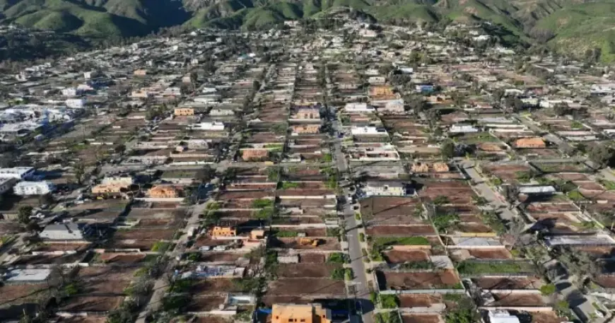 Trump Expedites Permits for Fire-Ravaged Homes in L.A. with Executive Order