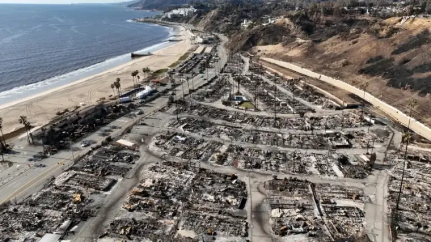 Trump Targets LA Wildfire Rebuilding; Newsom Identifies Funding as Key Challenge