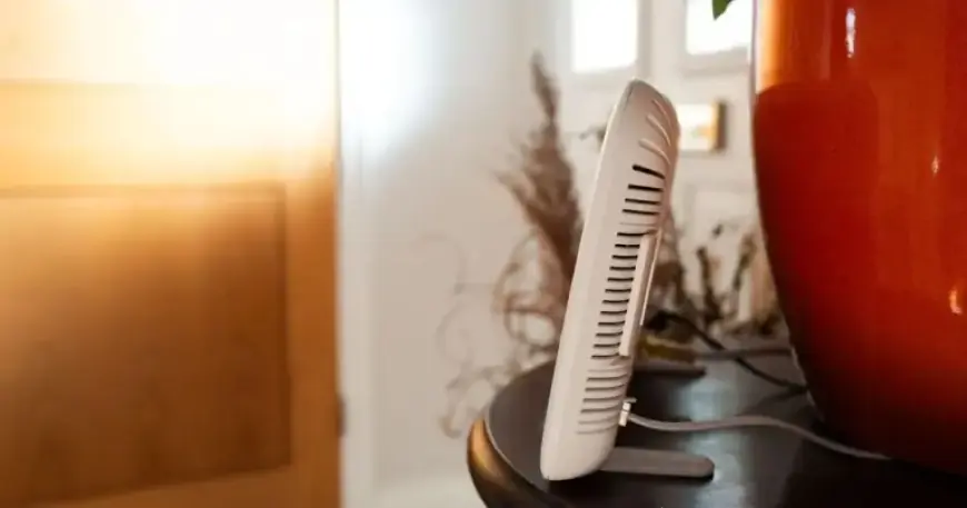 UK Broadband Provider Enters Administration After Rats Damage Cables