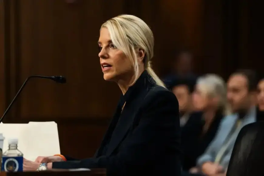 Trump Administration Pressures Blue States Using ICE – The Washington Post