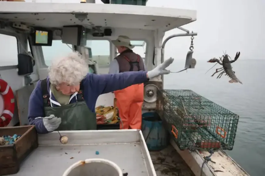 Maine’s Legendary ‘Lobster Lady’ Passes at 105, Beyond Local Icon