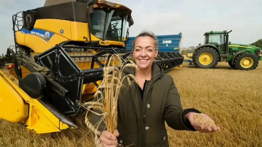 BBC One London HD’s ‘Inside the Factory’: Full Details and Schedule