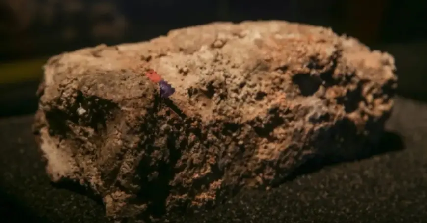 Sydney Faces Hefty Costs to Resolve Massive Fatberg Crisis