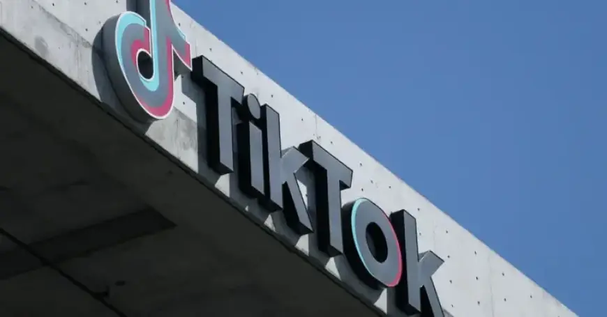 TikTok Attributes ICE Post Blocks to Technical Issues