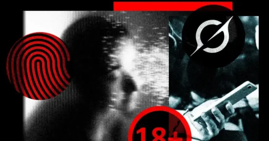 State of the Film Industry Explored