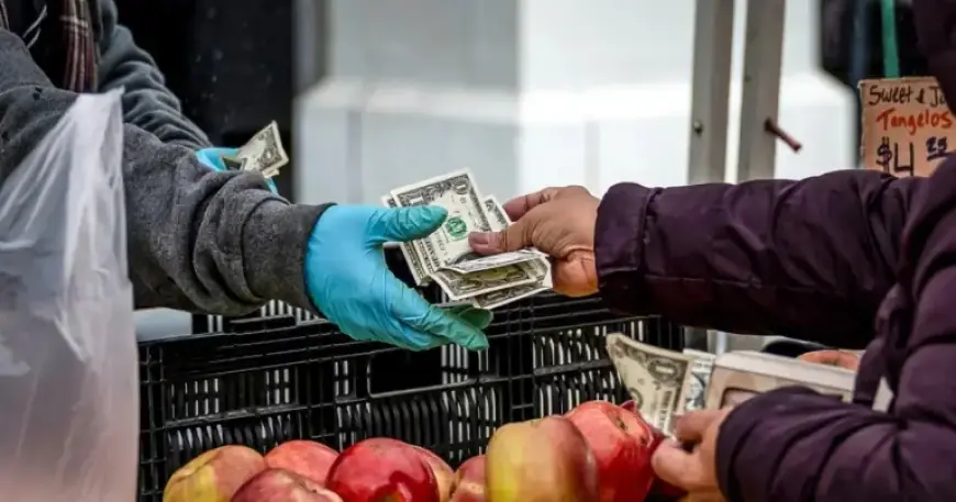 Dollar Plummets to Lowest Since April as Trump Dismisses Concerns