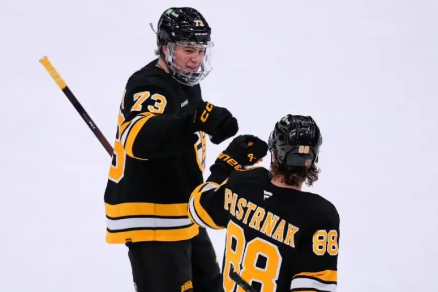 Watch Boston Bruins Live Stream for Free Today