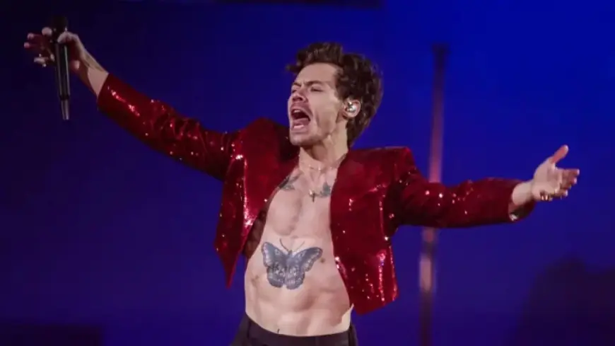 Harry Styles Fans Outraged by ‘Exorbitant’ Tour Ticket Prices
