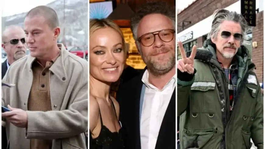 Olivia Wilde Returns; Celebrities Unite Against ICE