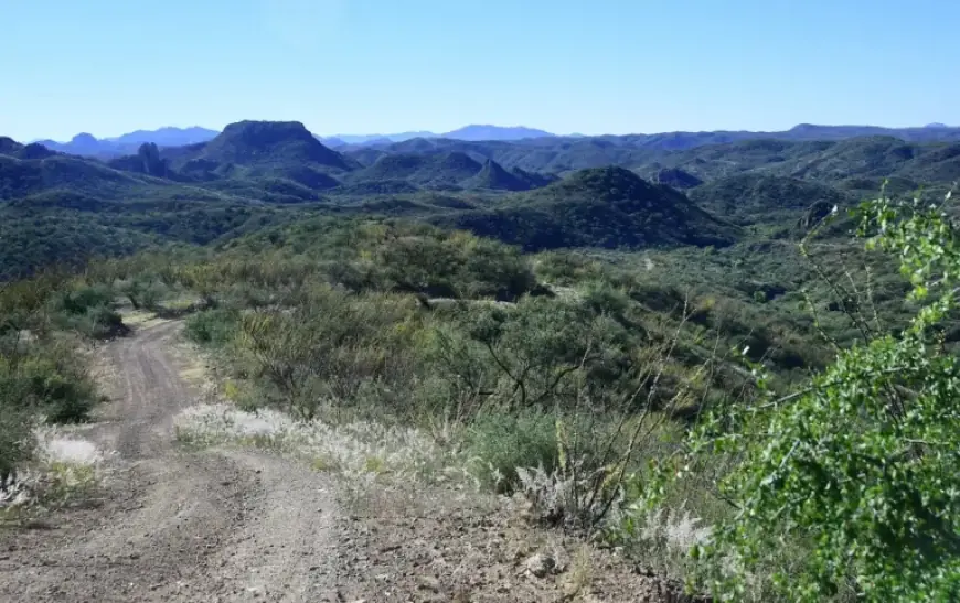 Arizona Shooting Leaves One Critically Injured Amidst Border Patrol Involvement