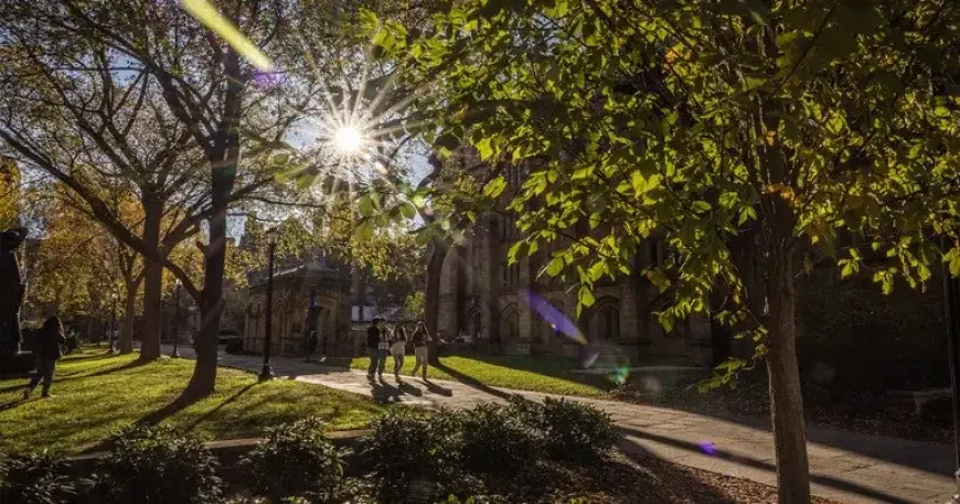 Yale Announces Free Tuition for Families Earning Under $200,000