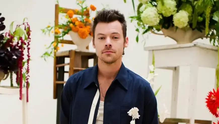 11.5 Million Register for Harry Styles’ Madison Square Garden Concerts