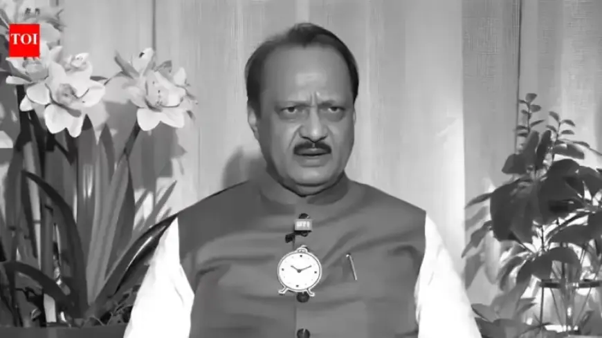 Ajit Pawar, Three Others Die in Baramati Plane Crash Landing