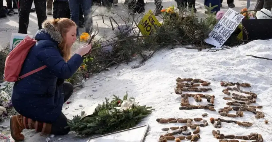 Trump Criticizes Alex Pretti for Carrying Gun Before Minnesota Shooting