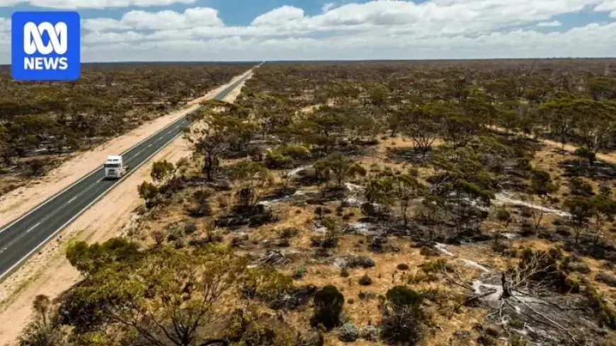 Fire Blocks Eyre Highway, Stranding Nullarbor Travellers