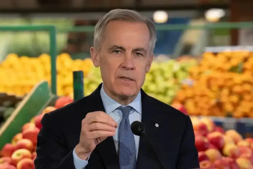 Grocery Price Surge Fuels Canadian Discontent